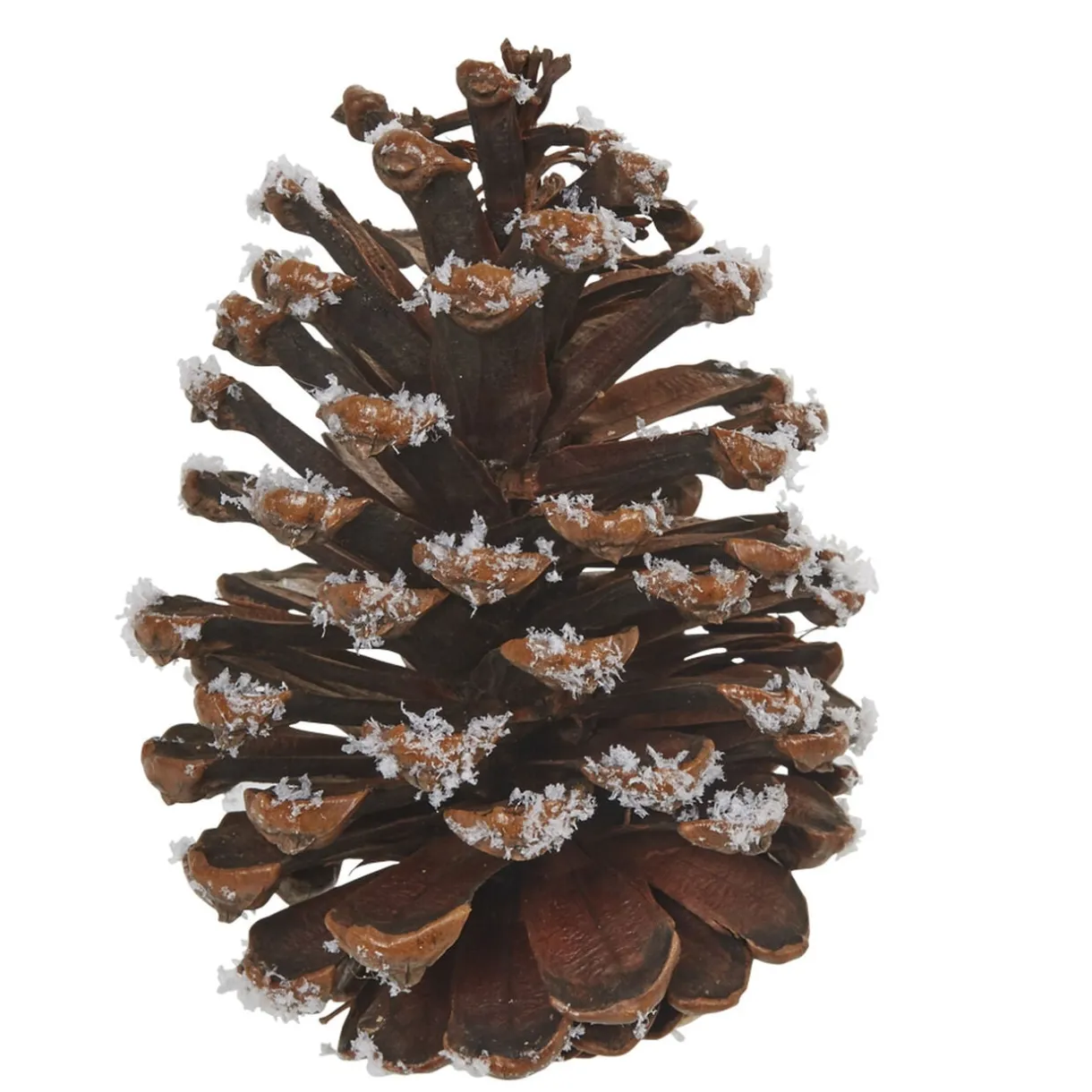Pomme de pin de Noël à suspendre marron < Gifi Sale