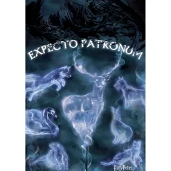 Poster Harry Potter - Patronus < Gifi Clearance