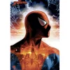 Poster Spider-Man - Protector of the City
