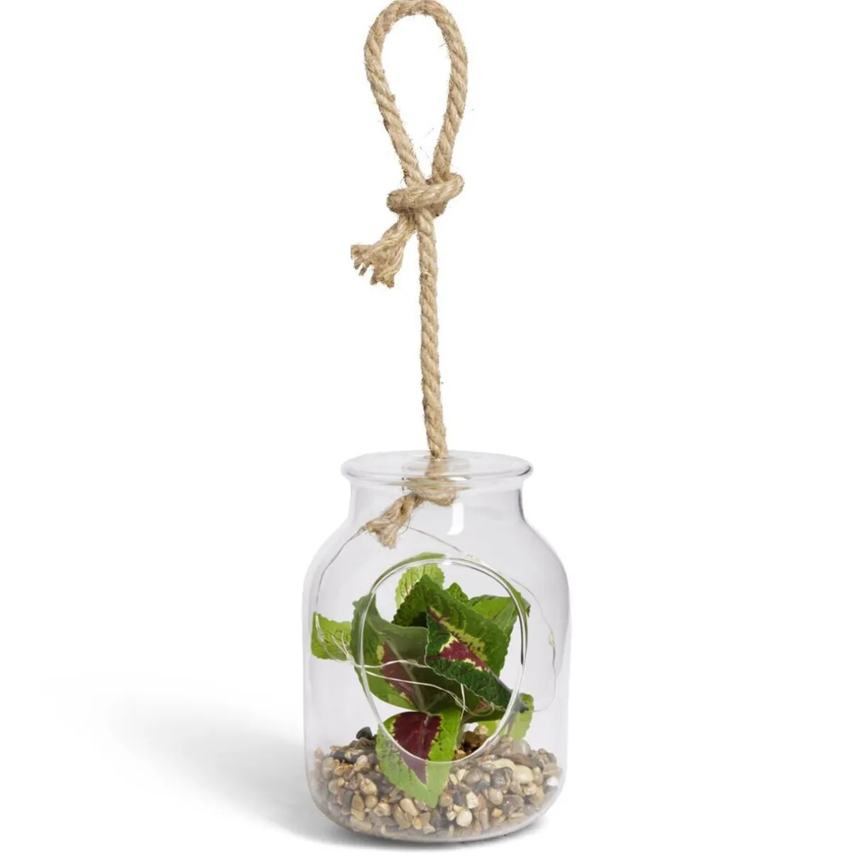 Pot en verre LED avec plante artificielle succulente Ø11,5xH15,5cm < Gifi New