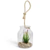 Pot en verre LED avec plante grasse artificielle Ø11,5xH15,5cm