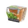 Pot terre cuite culture menthe avec graines et terreau H8.5cm