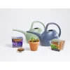 Pot terre cuite culture mélange fleurs bleues avec graines et terreau H8cm