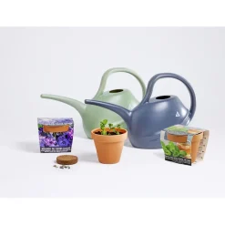 Pot terre cuite culture mélange fleurs bleues avec graines et terreau H8cm