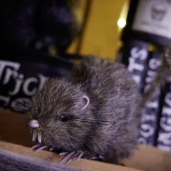 Rat noir ou marron décoration Halloween < Gifi New