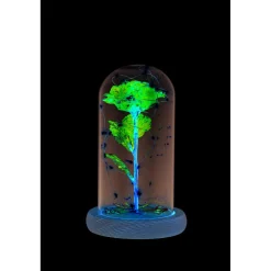 Rose sous cloche en verre avec LED Ø11,8xH19,5cm < Gifi New