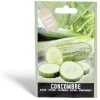 Semence concombre Marketmore 1g < Gifi Sale