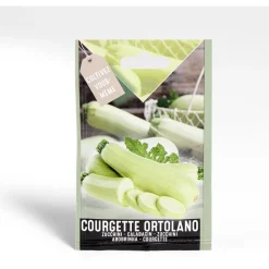 Semence courgette Ortolano1g < Gifi Outlet