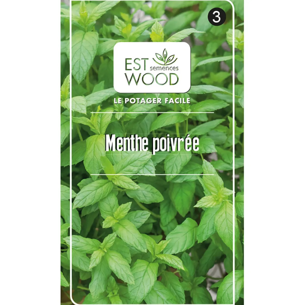 Semence Menthe poivrée vert 1 gr