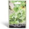 Semence persil géant d'Italie 1g < Gifi New
