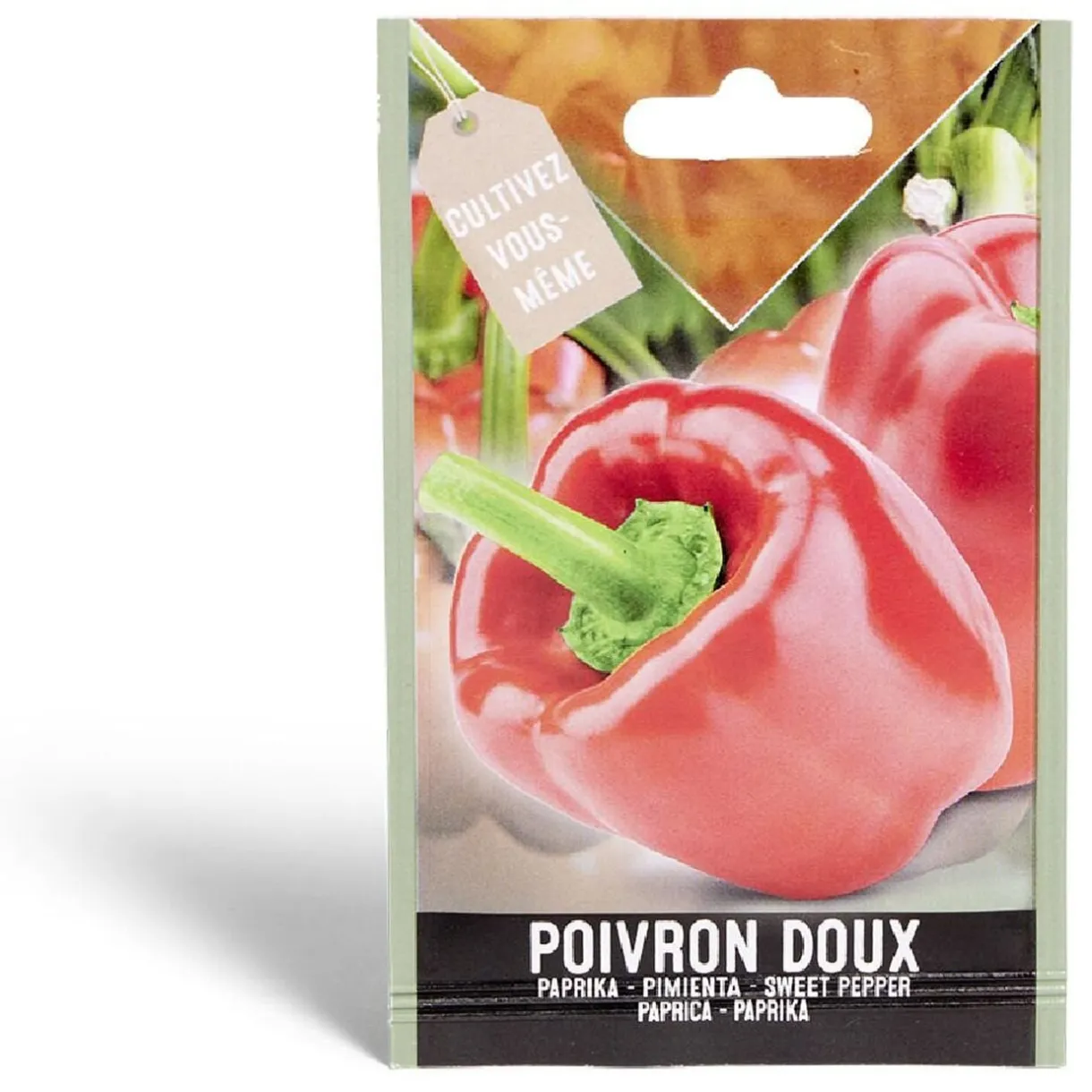 Semence poivron doux California Wonder 0,5g < Gifi Clearance