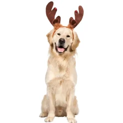Serre tête chien < Gifi Best