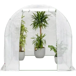Serre tunnel 6m² 300x200xH200cm