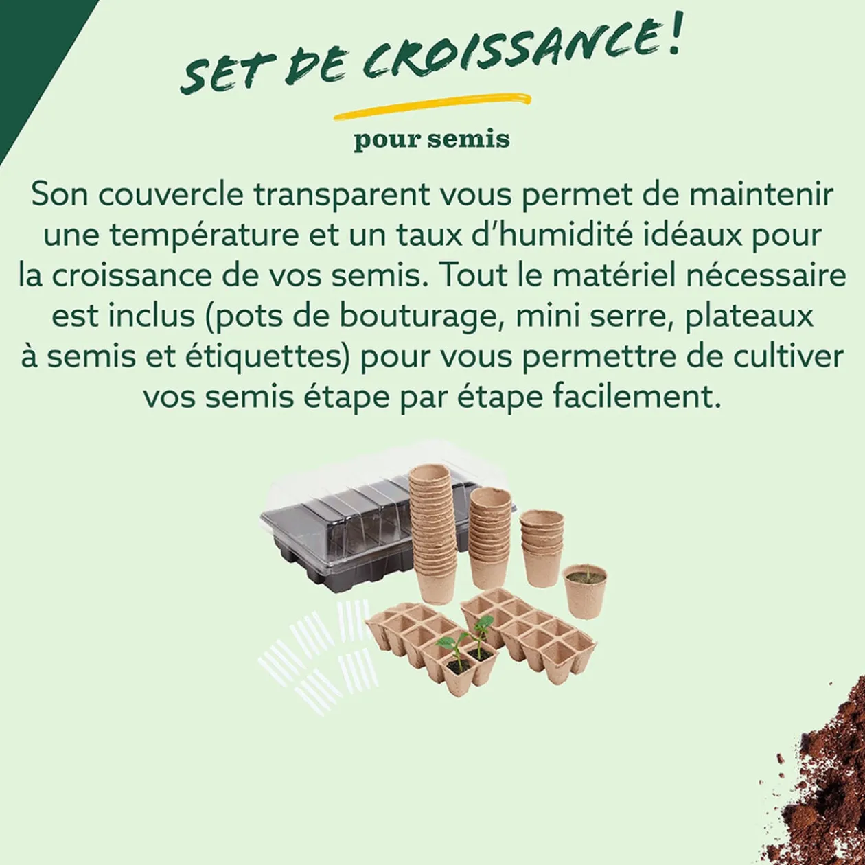 Set de croissance pour semis