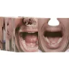 Sous bock papier imprimés x10 < Gifi Clearance