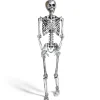 Squelette articulé Halloween H150cm plastique argenté < Gifi Best