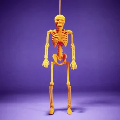 Squelette à suspendre Halloween H40cm