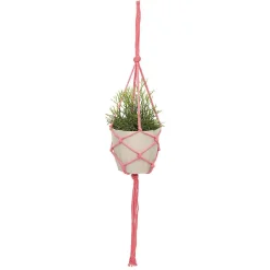 Suspension pour plantes en macramé