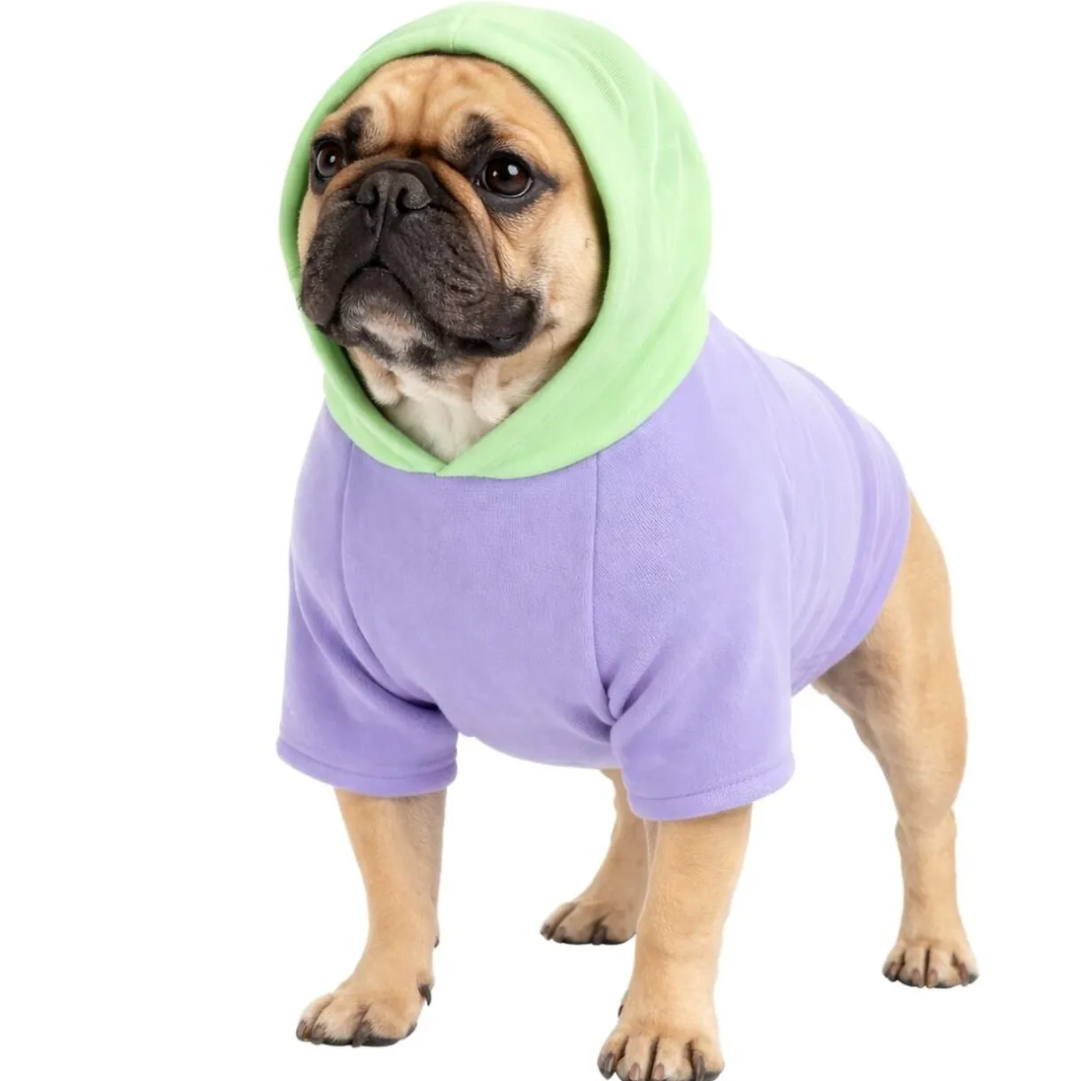 Sweat à capuche pour chien violet - Taille L < Gifi