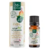 Synergie d'huiles essentielles Éveil 10ml < Gifi Discount