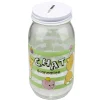 Tirelire kawaii Chat économise bocal verre transparent