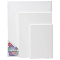 Toile à peindre blanche x3 sur châssis bois 3 tailles (20x30/30x40/40x50cm) < Gifi Best