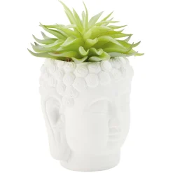 Tête Bouddha avec plante