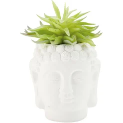 Tête Bouddha avec plante