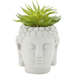 Tête Bouddha avec plante