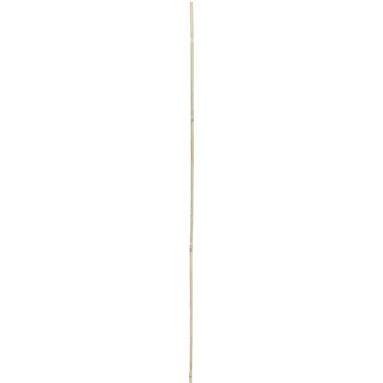 Tuteur bambou Ø1,2xH120cm x8 < Gifi Discount