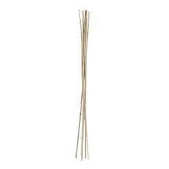 Tuteur bambou Ø1,2xH120cm x8 < Gifi Discount