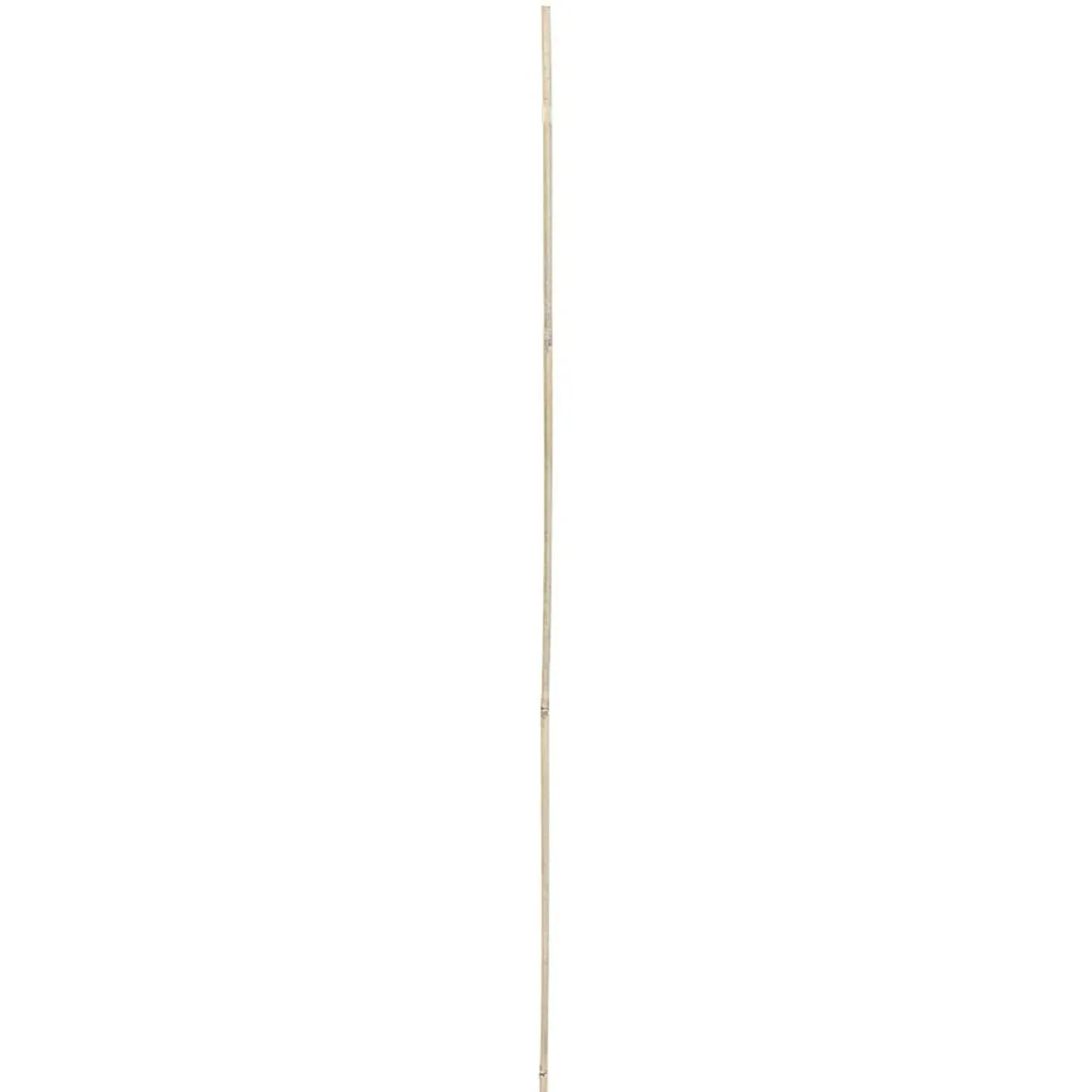 Tuteur bambou Ø1,2xH120cm x8 < Gifi Discount