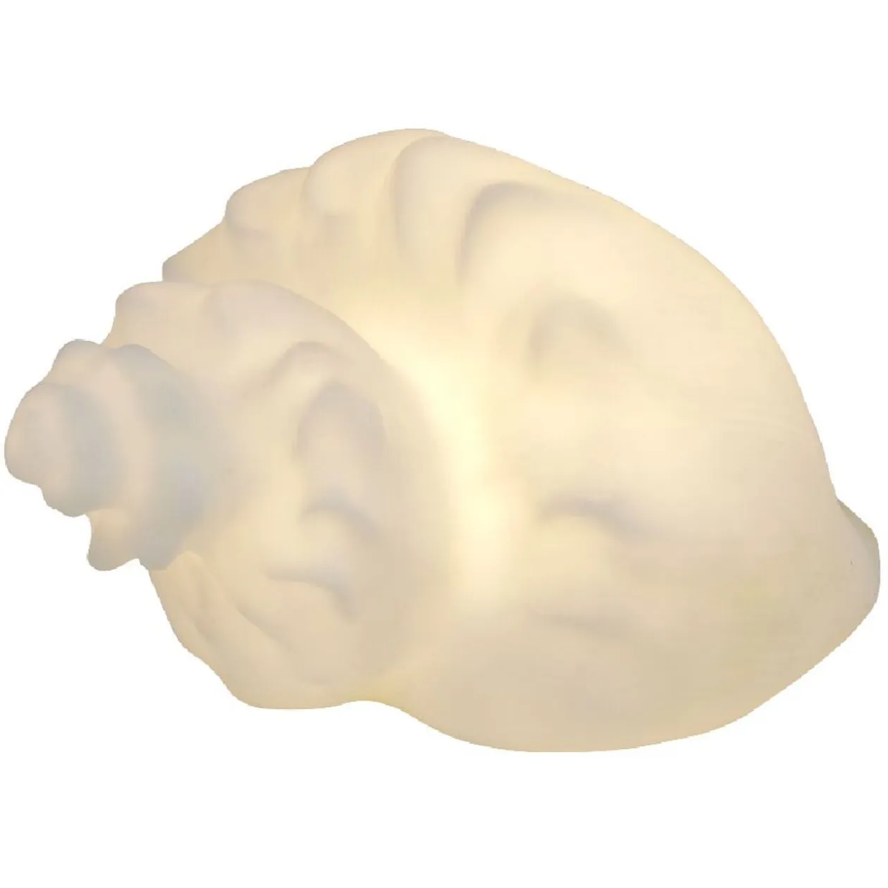 Veilleuse LED coquillage blanc