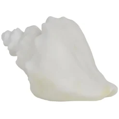 Veilleuse LED coquillage blanc