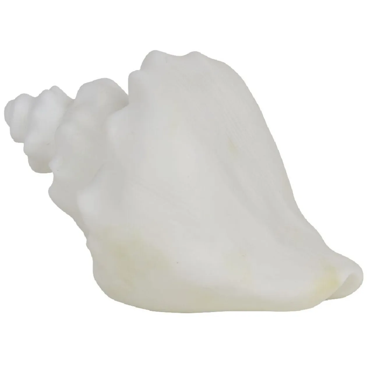 Veilleuse LED coquillage blanc
