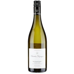 Vin de France blanc Sauvignon Chatelain Desjacques 11% 75cl < Gifi New